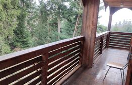 Cabana 250mp, Manastirea Humorului