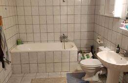 Cabana 250mp, Manastirea Humorului