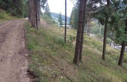 Teren extravilan cu vegetatie forestiera,1ha-Ciumârna  (Vatra Moldovitei)