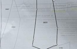 Teren extravilan cu vegetatie forestiera,1ha-Ciumârna  (Vatra Moldovitei)