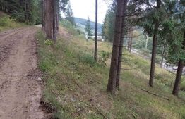 Teren extravilan cu vegetatie forestiera,1ha-Ciumârna  (Vatra Moldovitei)