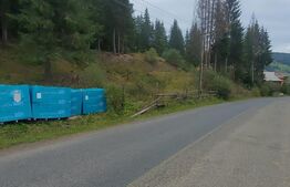 Teren extravilan cu vegetatie forestiera,1ha-Ciumârna  (Vatra Moldovitei)