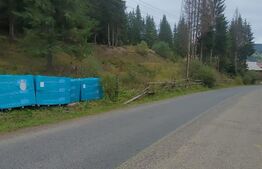 Teren extravilan cu vegetatie forestiera,1ha-Ciumârna  (Vatra Moldovitei)