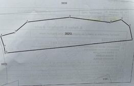 Teren extravilan cu vegetatie forestiera,1ha-Ciumârna  (Vatra Moldovitei)