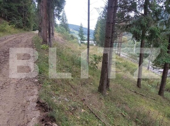 Teren de vânzare sucevita - 137041TV | BLITZ Suceava | Poza1