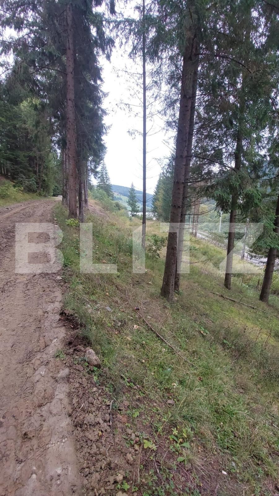 Teren de vânzare sucevita - 137041TV | BLITZ Suceava | Poza2