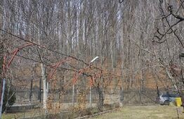 Casa 210mp, 7 camere, 210mp, Gura Humorului