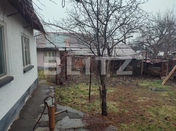 Casa de vânzare 3 camere Radauti - 137154CV | BLITZ Suceava | Poza11