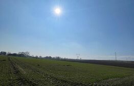 Teren extravilan, 7.300 mp, front 51 ml - Fălticeni 