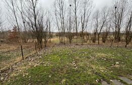 Casa locuibila, 64mp, comuna  Gramesti, oras Siret