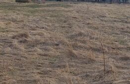 Teren intravilan, 6133mp,  Horodnic de sus, posibilitate plata in rate