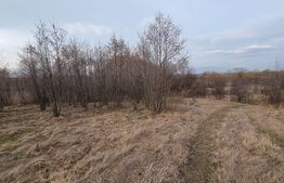 Teren intravilan, 6133mp,  Horodnic de sus, posibilitate plata in rate