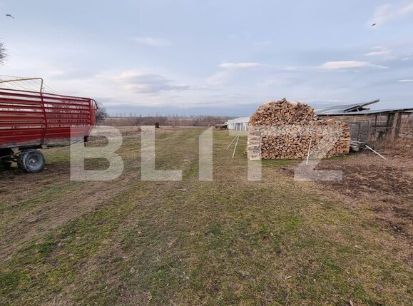 Teren de vânzare Horodnic - 137211TV | BLITZ Suceava | Poza9