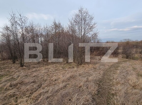 Teren de vânzare Horodnic - 137211TV | BLITZ Suceava | Poza6
