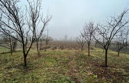 Casa individuala, 2898 mp- Dornesti