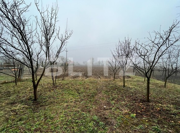 Casa de vânzare 4 camere Dornesti - 137309CV | BLITZ Suceava | Poza9