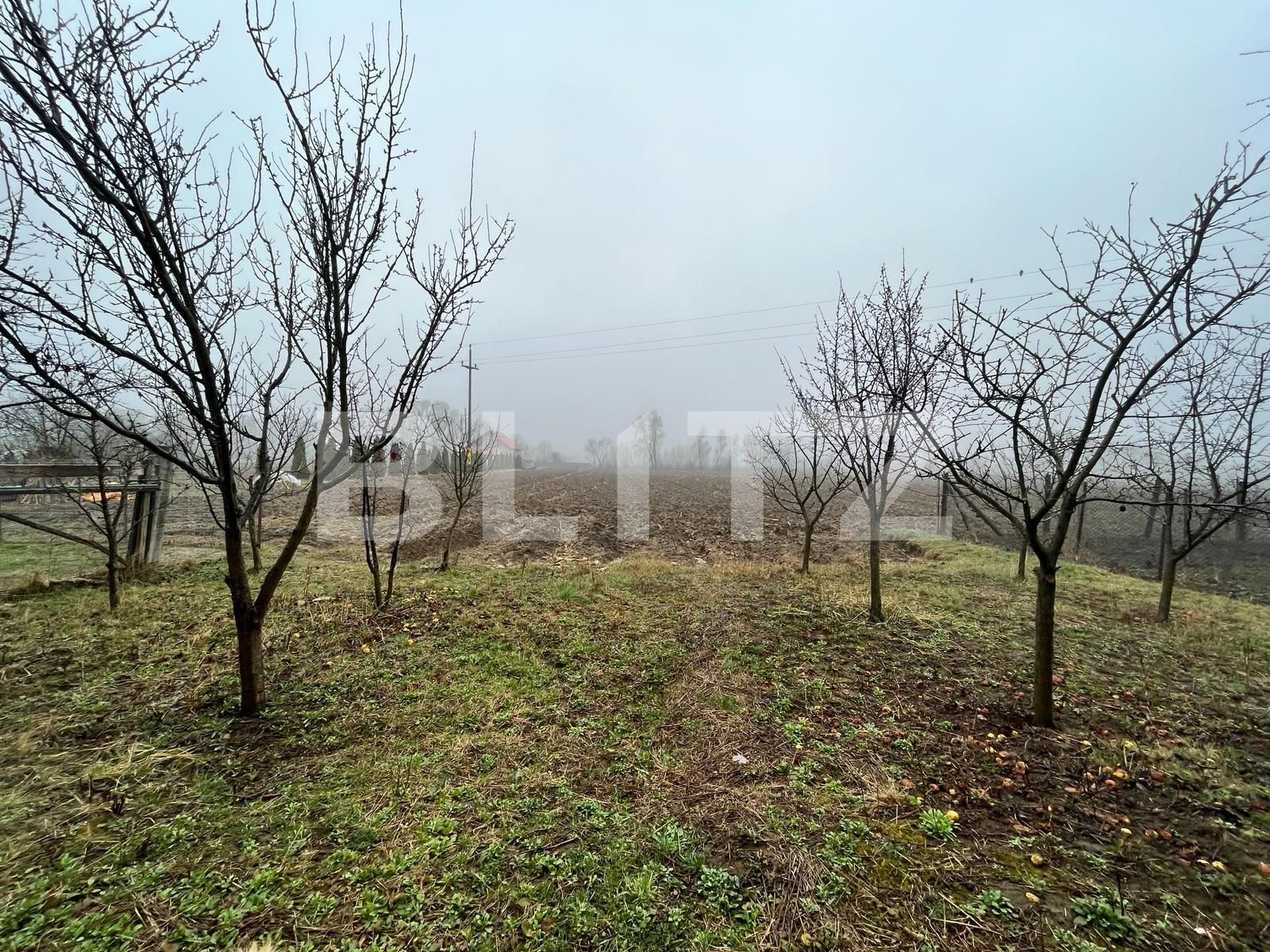 Casa de vânzare 4 camere Dornesti - 137309CV | BLITZ Suceava | Poza9