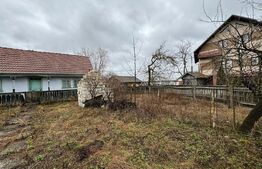 Casa batraneasca, 156mp, cartier Negostina, oras Siret