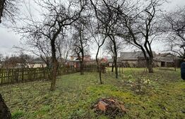 Casa batraneasca, Negostina, oras Siret