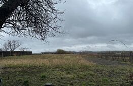 Casa batraneasca, Negostina, oras Siret