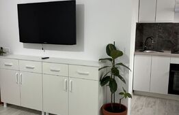 Garsoniera confort I, mobilata modern, 30 mp, cartier George Enescu