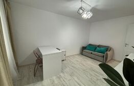 Garsoniera confort I, mobilata modern, 30 mp, cartier George Enescu