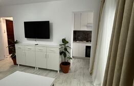 Garsoniera confort I, mobilata modern, 30 mp, cartier George Enescu