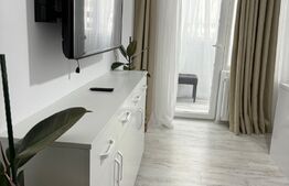 Garsoniera confort I, mobilata modern, 30 mp, cartier George Enescu