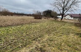 Teren intravilan 5775 mp- Galanesti