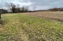 Teren intravilan 5775 mp- Galanesti