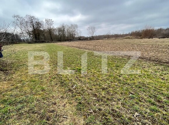 Teren de vânzare Galanesti - 137488TV | BLITZ Suceava | Poza2