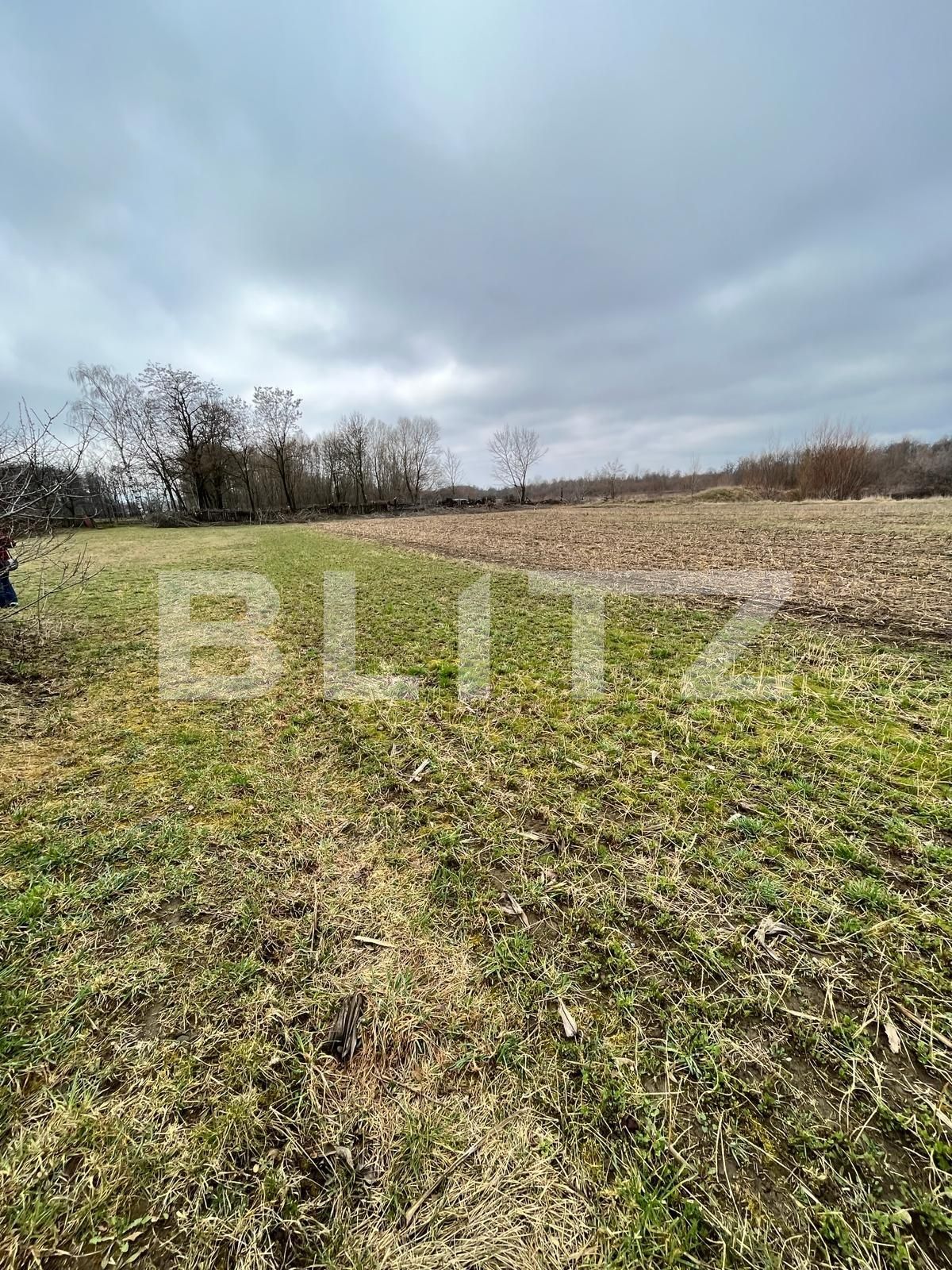 Teren de vânzare Galanesti - 137488TV | BLITZ Suceava | Poza2