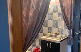 Garsoniera, 20 mp, etaj intermediar, zona Burdujeni