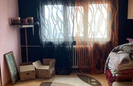 Garsoniera, 20 mp, etaj intermediar, zona Burdujeni