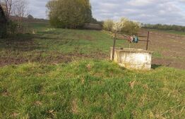 Teren intravilan 5500 mp - Gramesti  (pret negociabil)