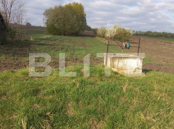 Teren de vânzare Gramesti - 137637TV | BLITZ Suceava | Poza2