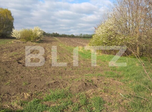 Teren de vânzare Gramesti - 137637TV | BLITZ Suceava | Poza3