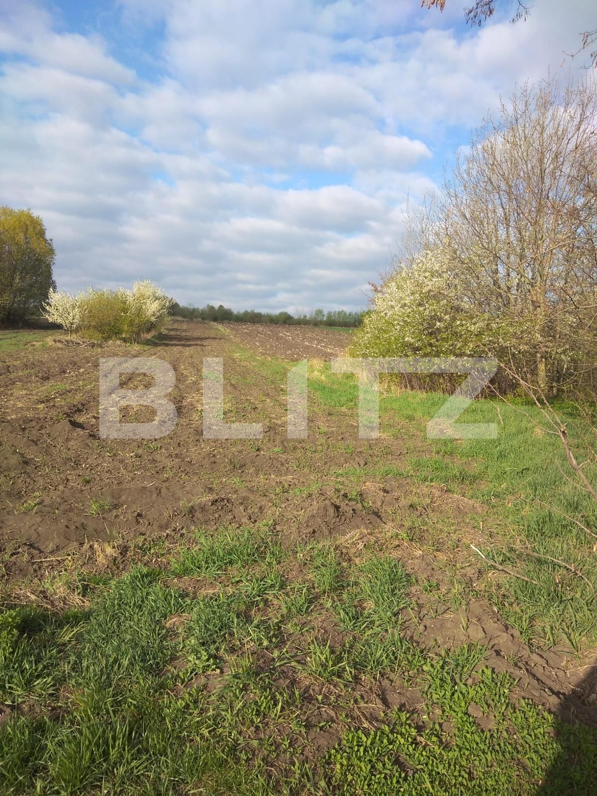 Teren de vânzare Gramesti - 137637TV | BLITZ Suceava | Poza3