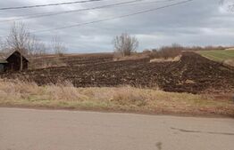 Teren intravilan 3600 mp -Gramesti (pret negociabil)