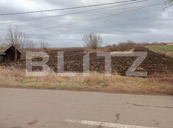 Teren de vânzare Gramesti - 137699TV | BLITZ Suceava | Poza3