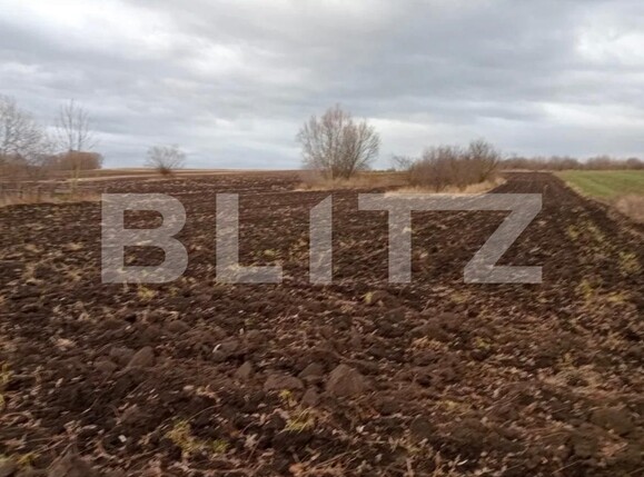 Teren de vânzare Gramesti - 137699TV | BLITZ Suceava | Poza4