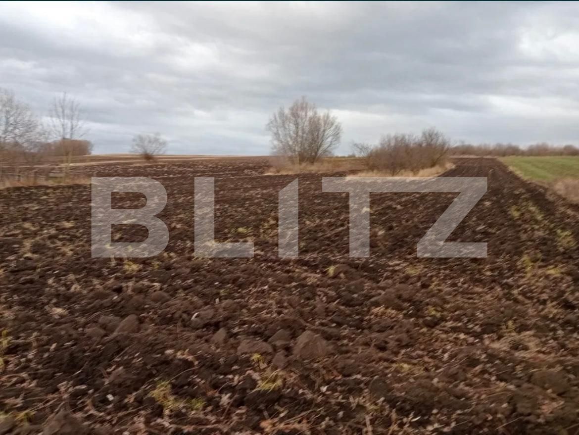 Teren de vânzare Gramesti - 137699TV | BLITZ Suceava | Poza4