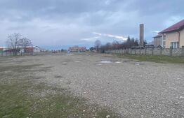 Teren intravilan, multifuncțional, 8000mp