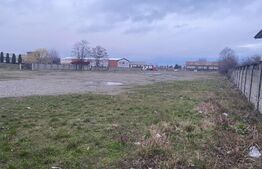 Teren intravilan, multifuncțional, 8000mp