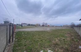 Teren intravilan, multifuncțional, 8000mp