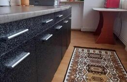 Apartament 2 camere, 46mp, mobilat, zona Școlii nr.11