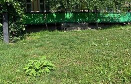 Casa batraneasca, 80mp, zona Todiresti