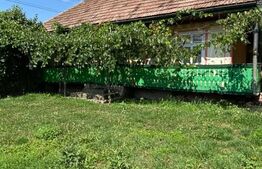 Casa batraneasca, 80mp, zona Todiresti