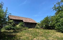 Casa batraneasca, 80mp, zona Todiresti