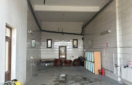 Spatiu cu destinatie multplia,214 mp utili, Burdujeni